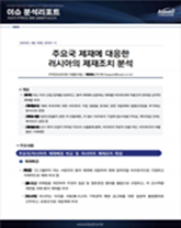 Issue Analysis Report cover